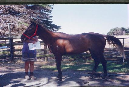 �ſ��� ����