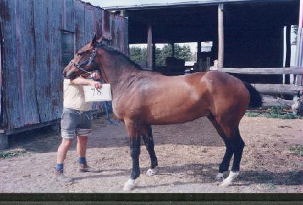 ���� ����