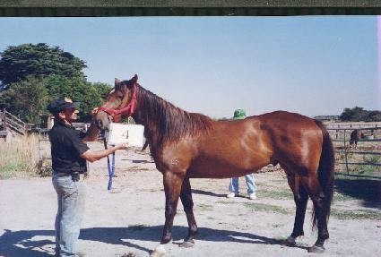 �ּ� ����