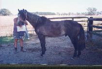 ���ǹ� (QUICK SILVER) ����