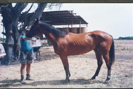 ���� ����