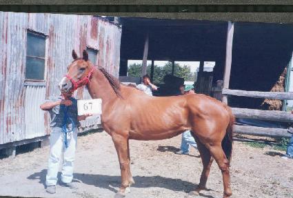 ǳ���� ����