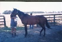 Ʈ���� (TREASURE) ����