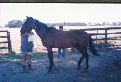 Ʈ���� ����