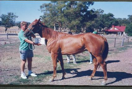 ���� ����