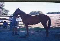 �г������� (PUNNOEUI P��ODO) ����