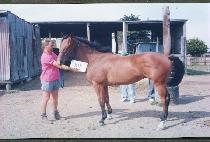 �۷θ��㵥�� (GLORY SUNDAY) ����