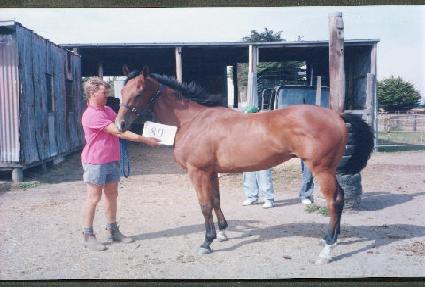 �۷θ��㵥�� ����