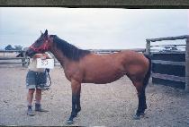 �ڽ� (CHASEUNG) ����