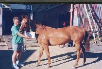 ���ִ�� (CHILJU TAEWANG) ����