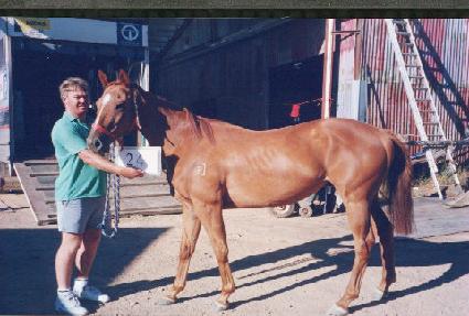 ���ִ�� ����