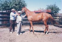 ����ĳ�� (WORLD CATCH) ����