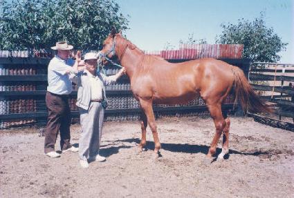 ����ĳ�� ����