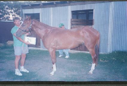 ���� ����