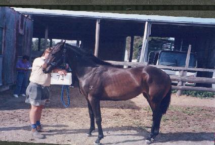 �ŷ� ����