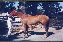 ������Ʈ (GOOD POINT) ����