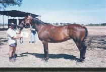 ��Ÿ��Ʋ (ONE TITLE) ����