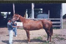 ������ (BLESSING) ����