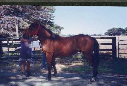 ���� ����