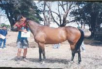 �̷����� (MIRAE YEOHAENG) ����