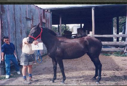 Ÿ������ ����