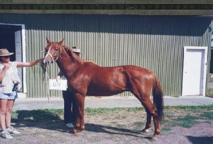 ���� ����