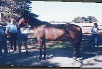 �빫�� (TAEMUJEOK) ����