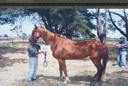 �̱��� ����