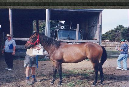 ����� ����