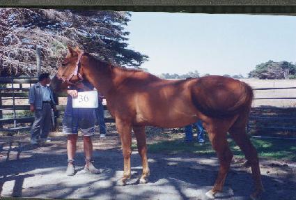 ��ǳ ����