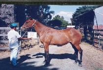 ���� (KEUMP��A) ����