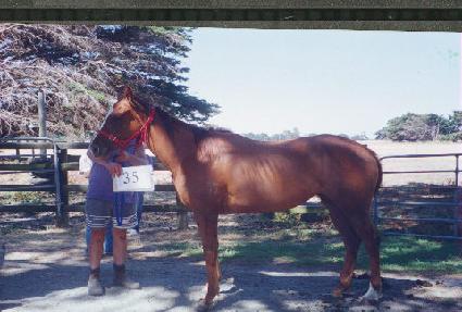 �Ͻ��� ����