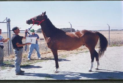 ȭ��Ʈ���� ����