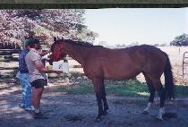 ������ (MIJISU) ����