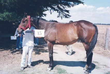 �ݻ�ȭ ����