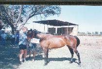 ��ǥ�� (HEUKP��YOBEOM) ����