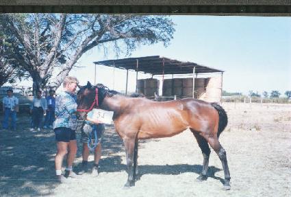 ��ǥ�� ����