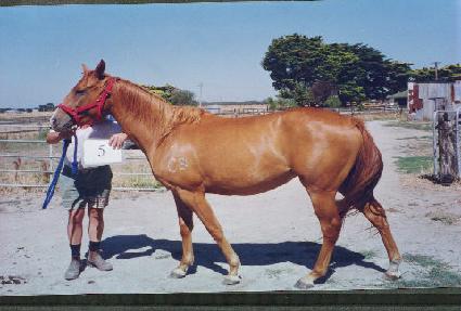 ����� ����