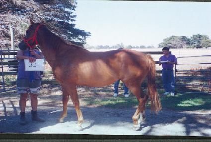 ���ĵ� ����