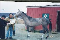 ���������̽�Ʈ�� (APRIL MISTRESS) ����