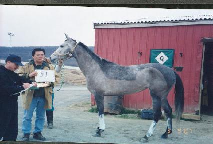 ���������̽�Ʈ�� ����