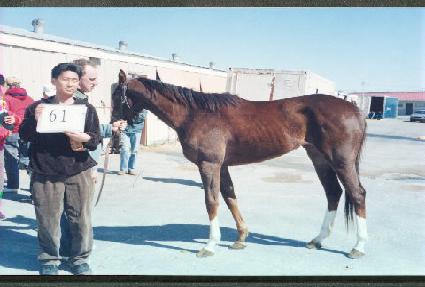 ���̵���Ŭ ����