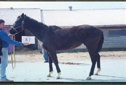 �۷νð� ����