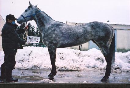 �۶��̵�ĵ�� ����