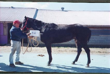 �佺Ű�� ����