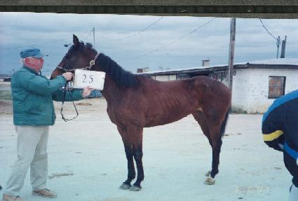 �۶��̵��÷��� ����