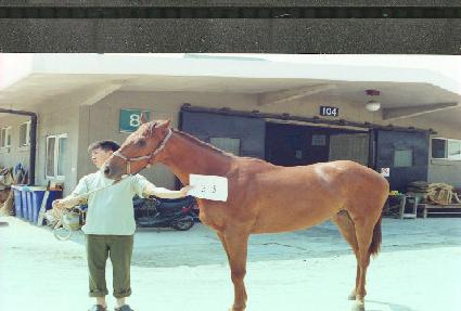 �۶��̵��ö��� ����