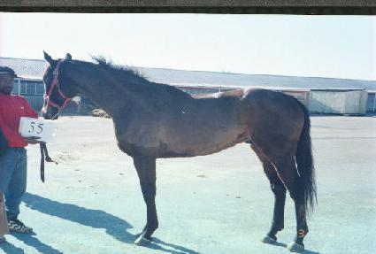 ������Ǯ���� ����