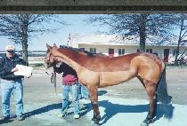 ������ĳ���ͳ� (LEO��S CASTANETTE) ����