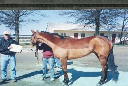 ������ĳ���ͳ� ����